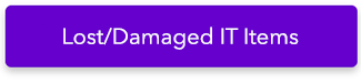 Lost/Damaged IT Items 