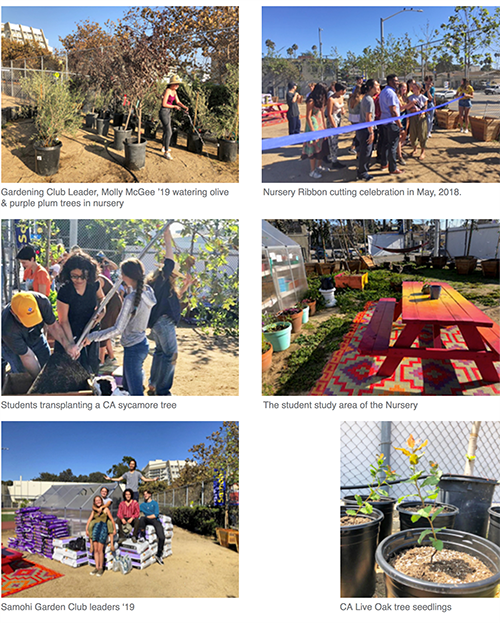 Santa Monica High School students working at the Tree Nursery 