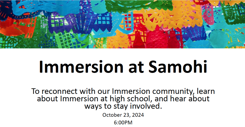 Immersion Presentation