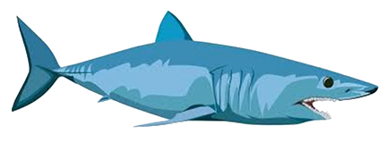 mako shark