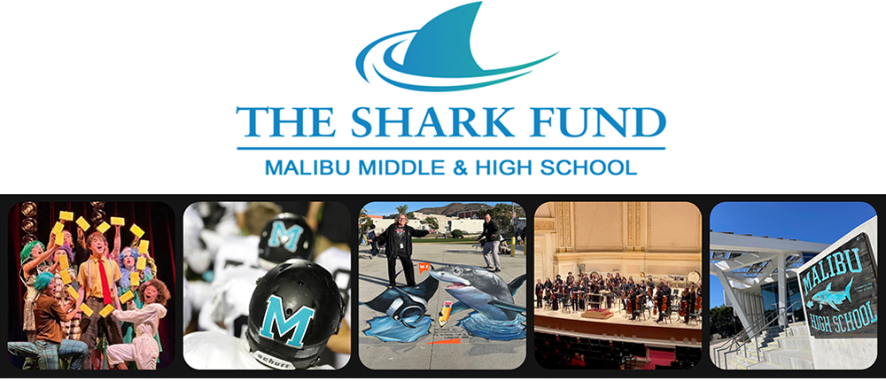 The Shark Fund